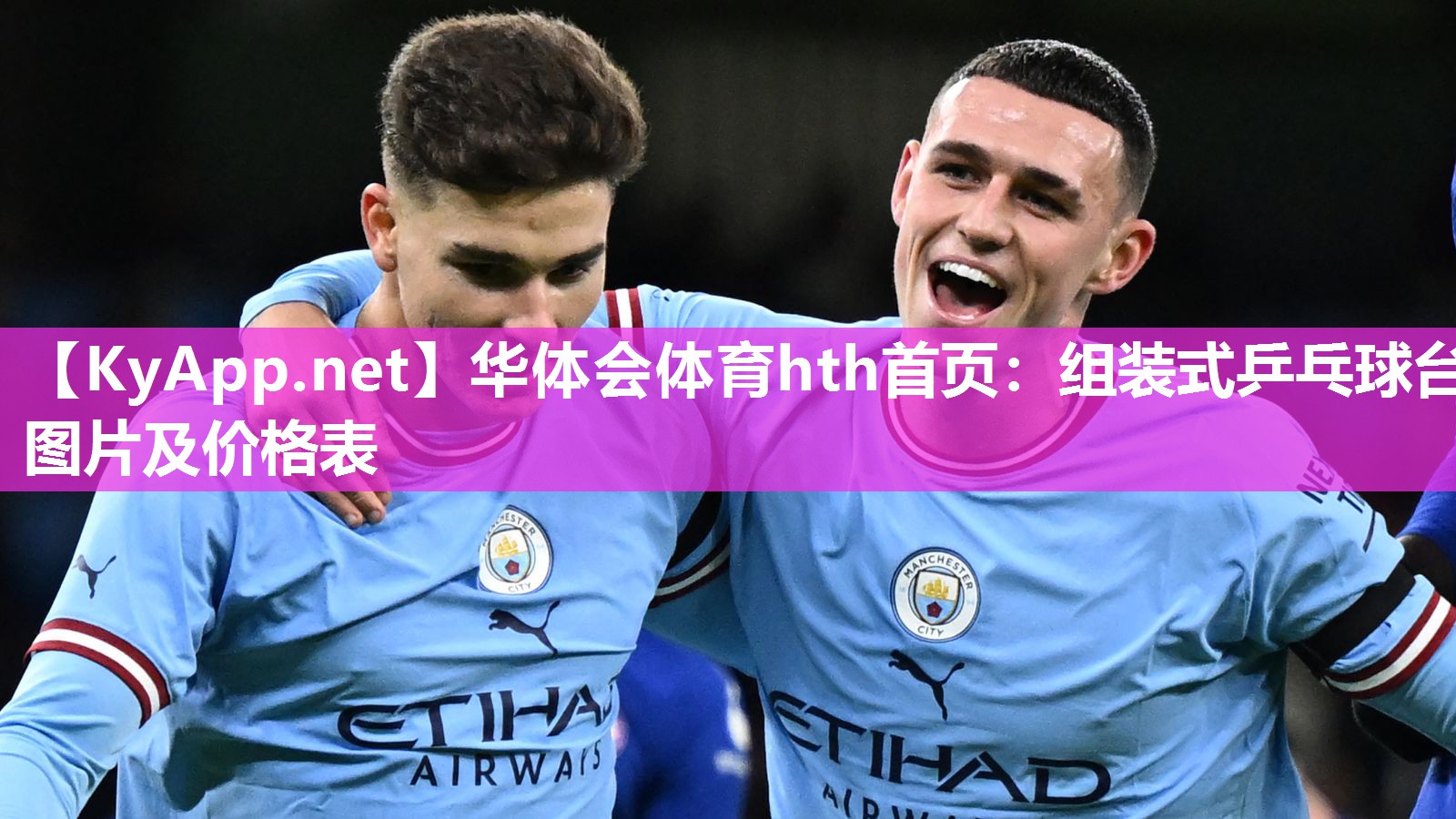 华体会体育hth首页：组装式乒乓球台图片及价格表