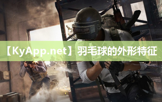 羽毛球的外形特征