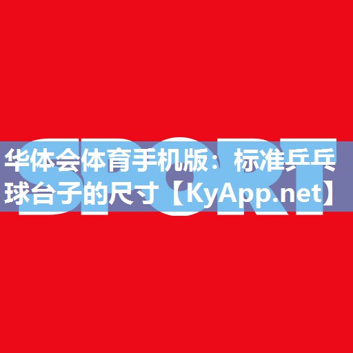 标准乒乓球台子的尺寸