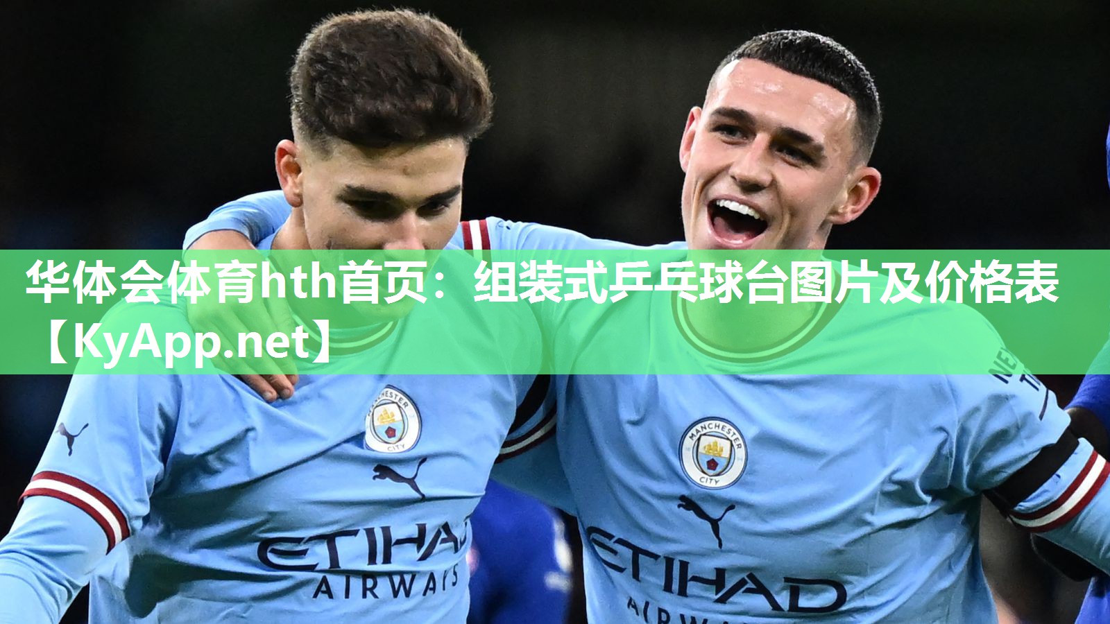组装式乒乓球台图片及价格表