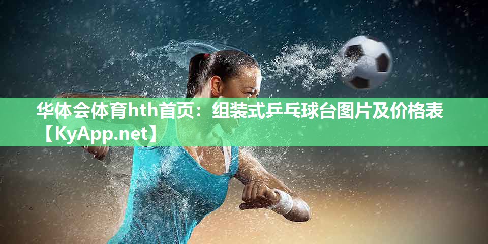 组装式乒乓球台图片及价格表