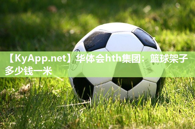 篮球架子多少钱一米