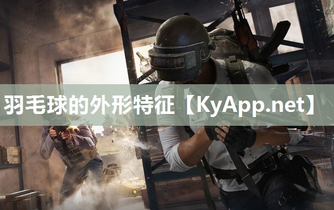 羽毛球的外形特征